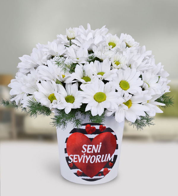 Beyaz Papatya Aranjmanı