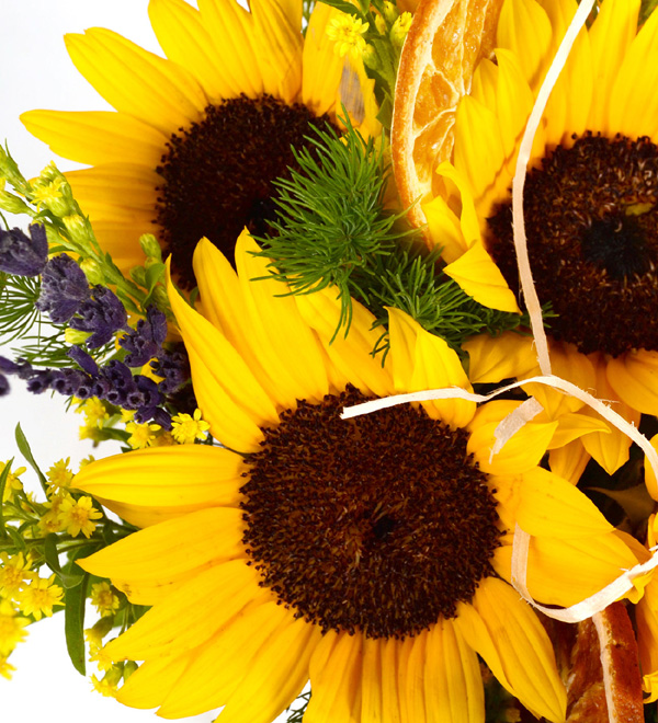 Happy Summer Cam Fanusda Yaz Ayçiçekleri
