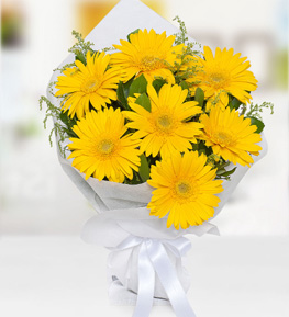 Sarı Gerbera Buketi