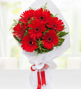 Kırmızı Gerbera Buketi