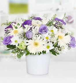 Lisyantus ve Gerbera