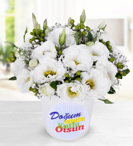 Doğum Günü Stickerlı Lisyantuslar