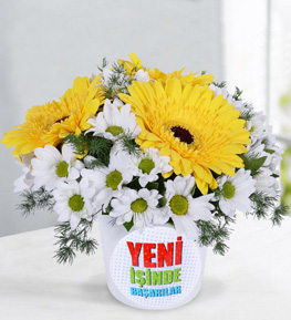 Yeni İş Stickerlı Gerbera ve Papatyalar