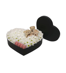 Love Eclipse Papatya Ayıcık Macaron