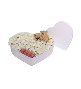 White Spark Papatya Ayıcık Macaron