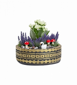 Desenli Saksıda Mini Kalanşo Teraryum