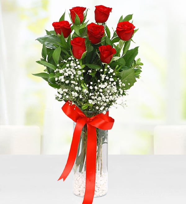Vazoda 7 K�rm�z� G�l