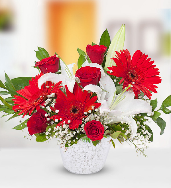 G�l Lilyum Gerbera