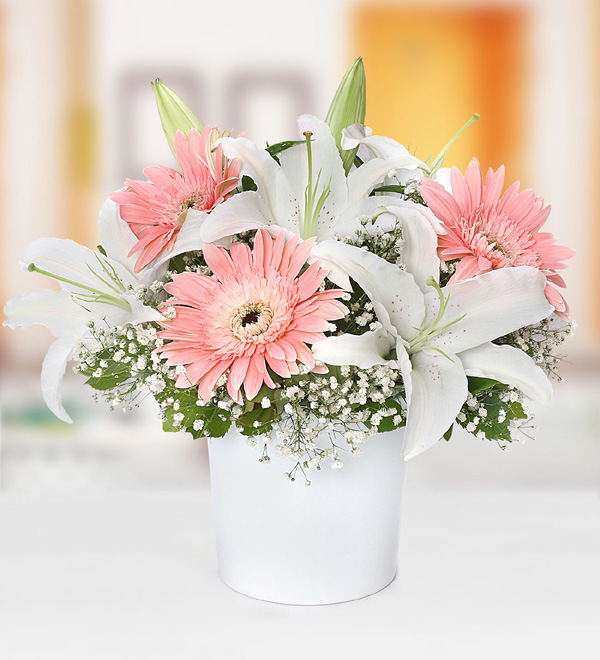 Beyaz Lilyum Pembe Gerbera