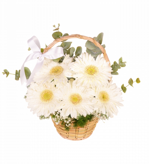 Beyaz Gerbera Sepeti