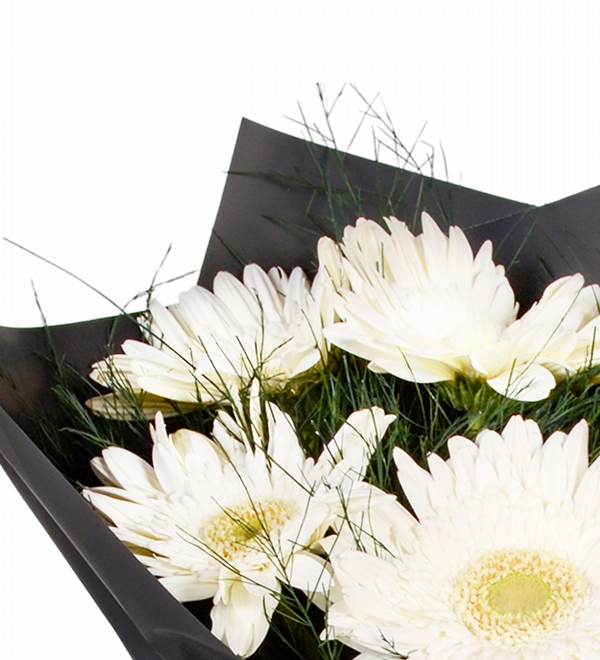 5 Adet Beyaz Gerbera Buketi
