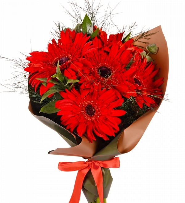 5 Adet K�rm�z� Gerbera Buketi