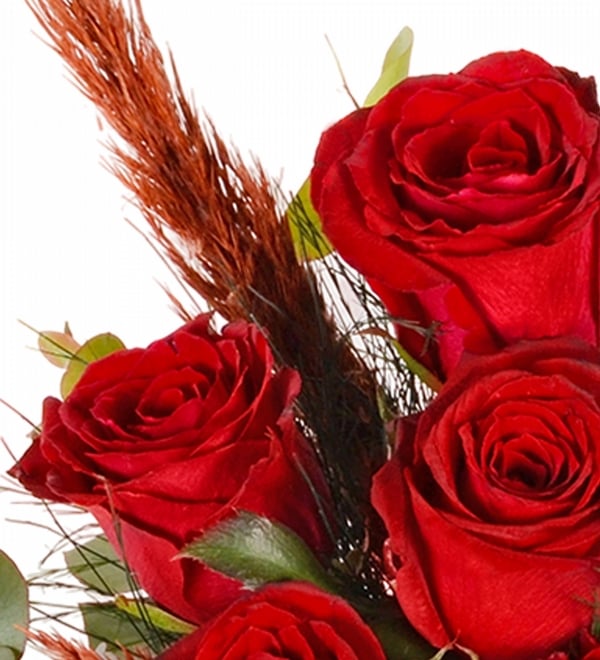 Bej Vazoda K�rm�z� G�l ve Kuru �i�ekler