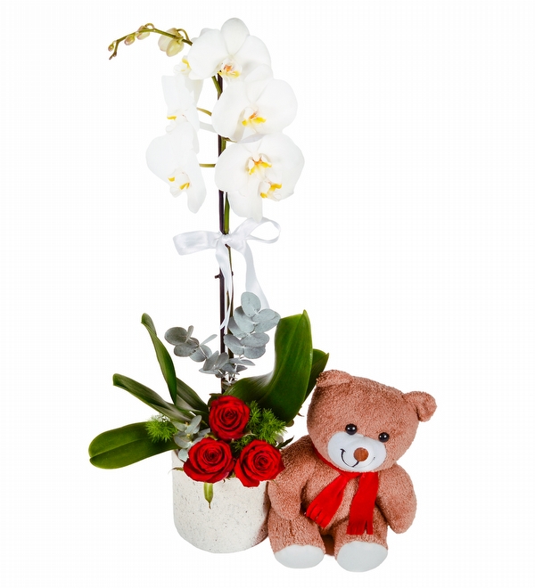 Tek Dal Orkide K�rm�z� G�l ve Ay�c�k