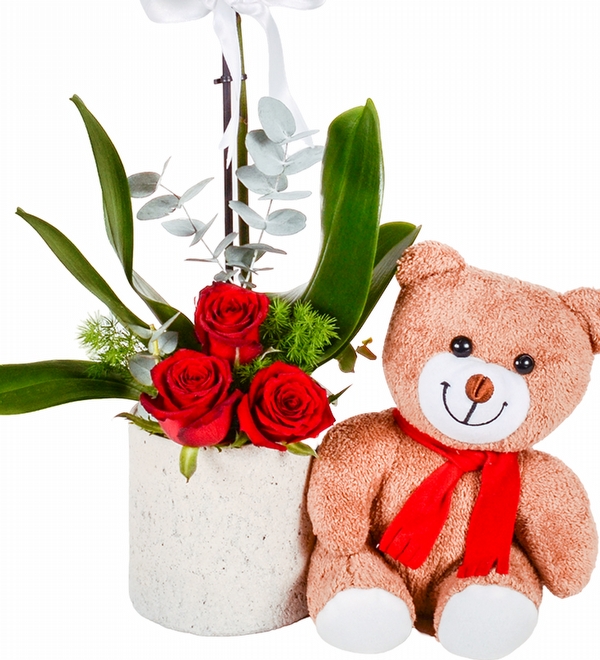 Tek Dal Orkide K�rm�z� G�l ve Ay�c�k