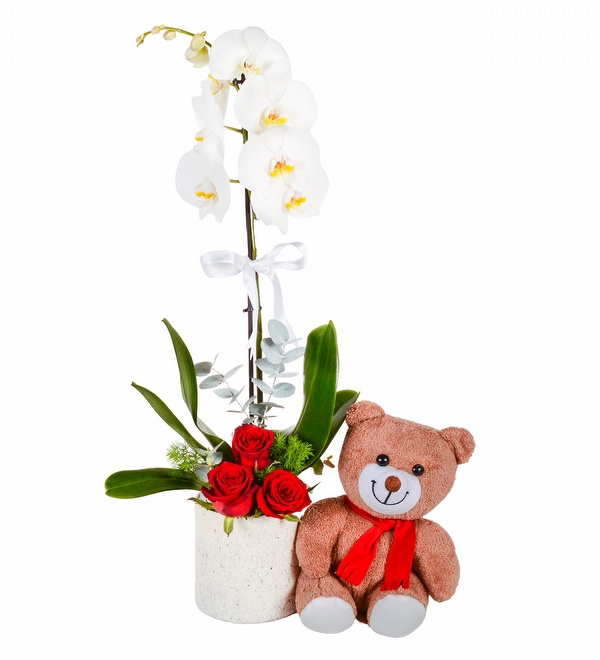 Tek Dal Orkide K�rm�z� G�l ve Ay�c�k