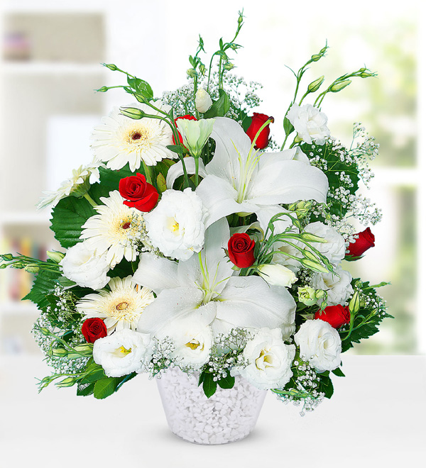 B�y�leyici Lilyumlar