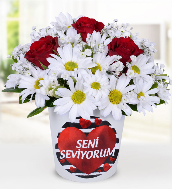 K�rm�z� G�l ve Papatya