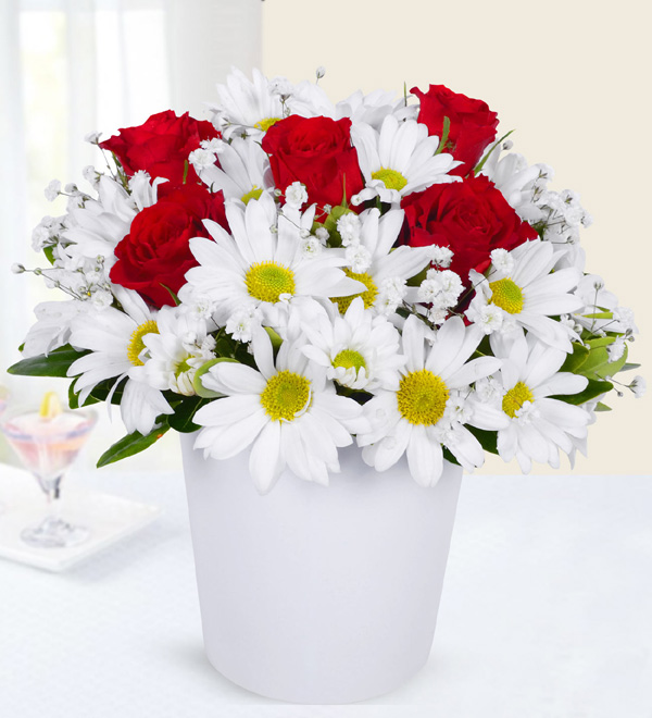 Papatya ve K�rm�z� G�l A�k�