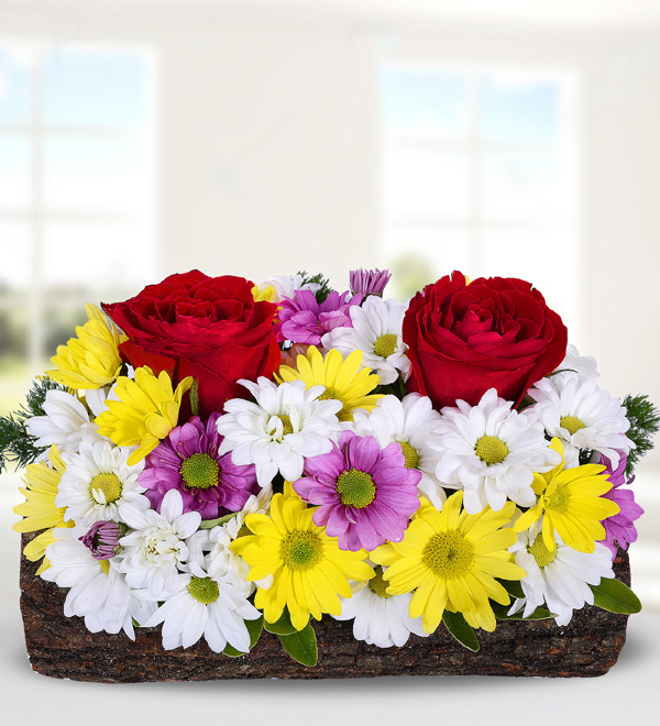 Yatay K�t�k Saks�da Renkli Papatya ve G�ller