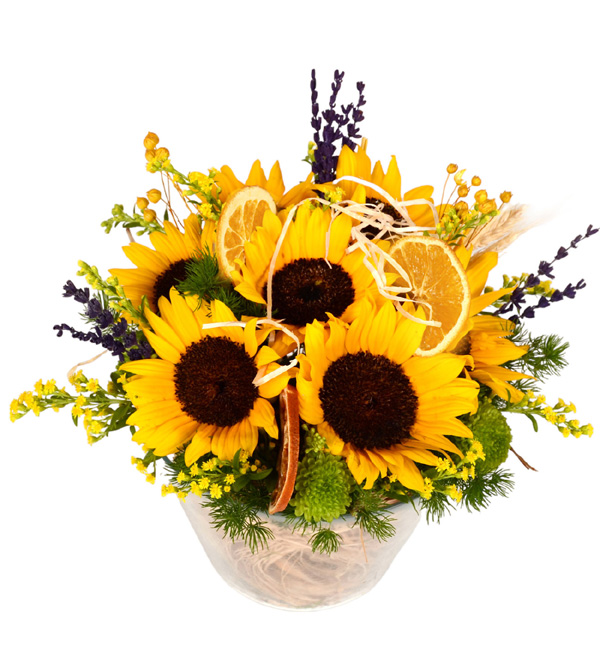 Daylight Sunflower Camda Sempatik Sar� Ay�i�ekleri