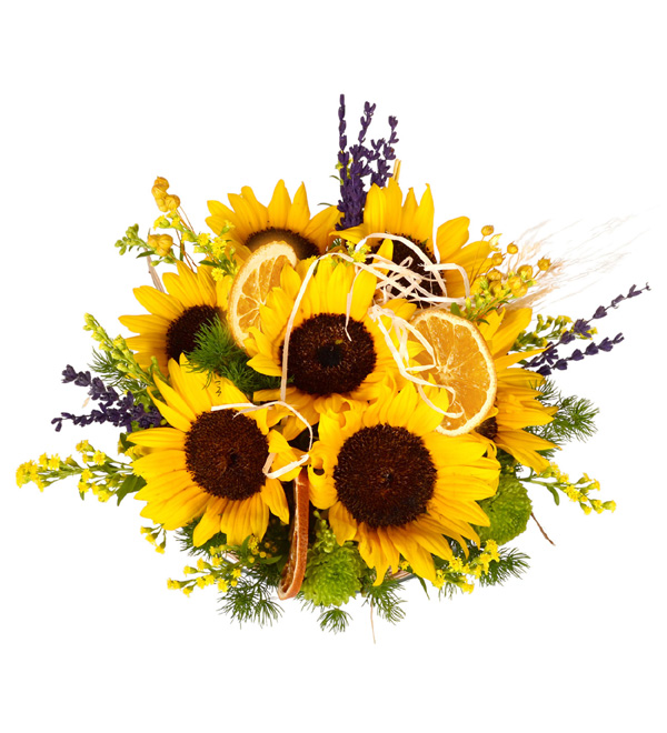 Daylight Sunflower Camda Sempatik Sar� Ay�i�ekleri