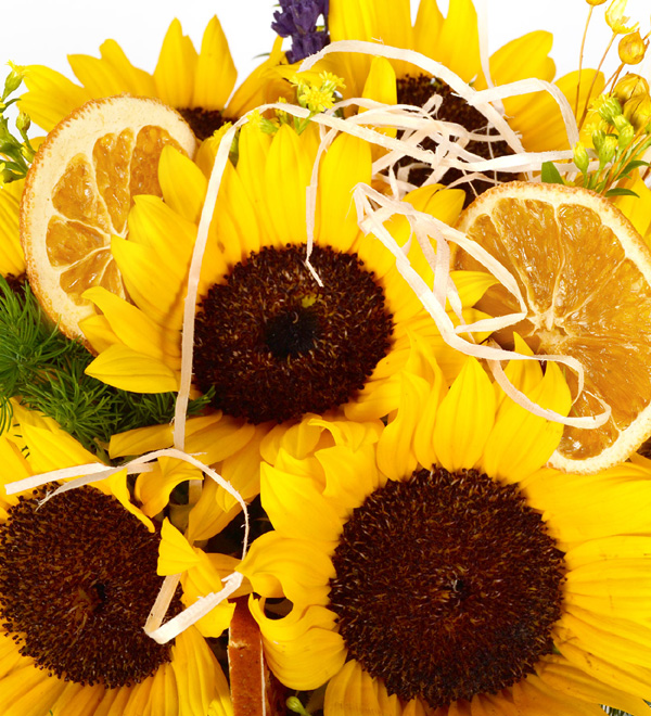 Daylight Sunflower Camda Sempatik Sar� Ay�i�ekleri