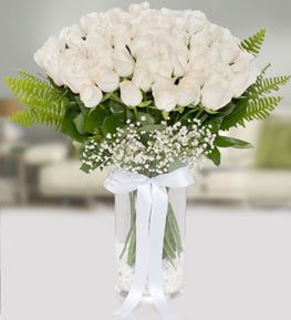 Vazoda 51 Beyaz G�l
