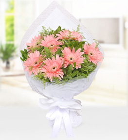 Pembe Gerbera Buketi