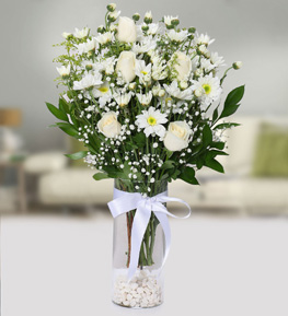 Beyaz G�l ve Papatyalar