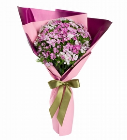 Pembe Ambalajl� H�sn�yusuf Buketi