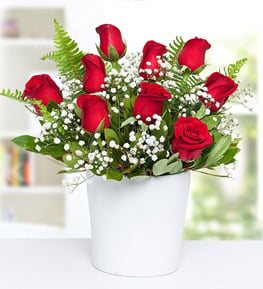 Beyaz Saks�da K�rm�z� G�ller