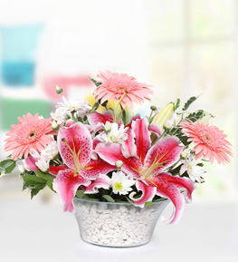 Lilyum Gerbera Papatya
