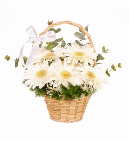 Beyaz Gerbera Sepeti