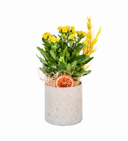Beton Saks�da Sar� Kalan�o