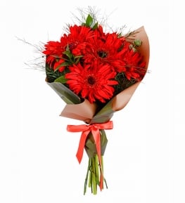 5 Adet K�rm�z� Gerbera Buketi