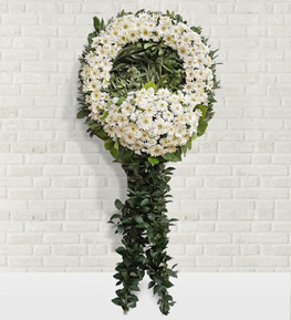 Beyaz Gerbera �elengi