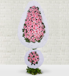 Pembe D���n �i�e�i