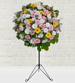 Renkli Gerbera Ferforje Aranjman�