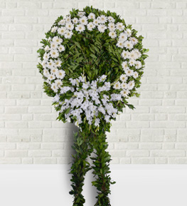 Beyaz Gerbera Cenaze �elengi