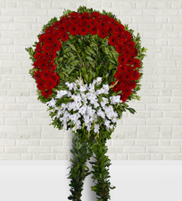 Gerbera Glay�r �elengi