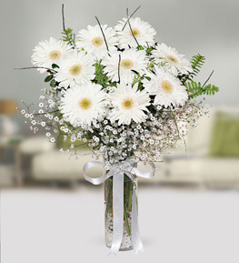 Beyaz Gerbera Vazosu