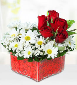 Kalpte Papatyalar ve G�ller