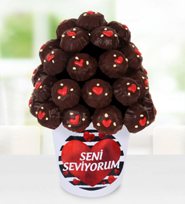 �ikolata R�yas� Kurabiye