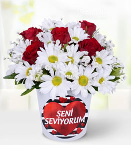 K�rm�z� G�l ve Papatyalar