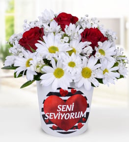 K�rm�z� G�l ve Papatya
