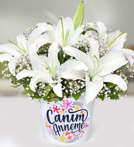 Can�m Anneme Lilyum Aranjman�
