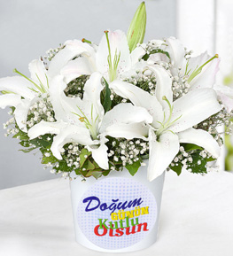 Do�um G�n� Temal� Zarif Lilyumlar