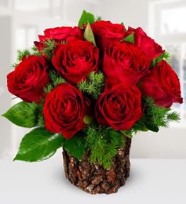 Do�al K�t�k Saks�da 9 K�rm�z� G�l