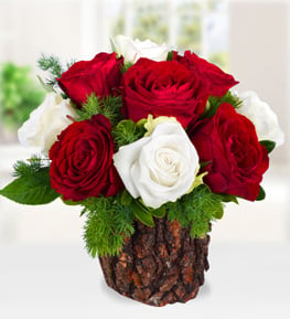 Do�al Ah�ap Saks�da Tutkulu K�rm�z� ve Beyaz G�ller